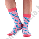 Kép 2/2 - NORDKAMP DINOSZAURUSZ RÓZSASZÍN FÉRFI ZOKNI