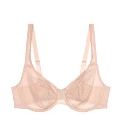 TRIUMPH HARMONY SPOTLIGHT W01 MELLTARTÓ